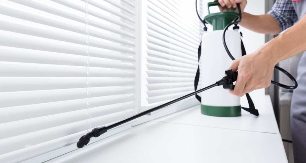 مكافحة حشرات حولى الكويت