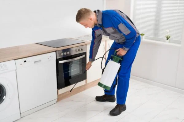 شركة مكافحة حشرات الكويت