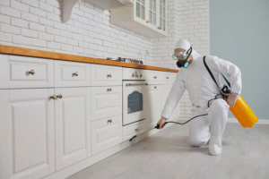 شركه رش حشرات الكويت