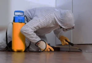 شركه مكافحه الحشرات بالكويت