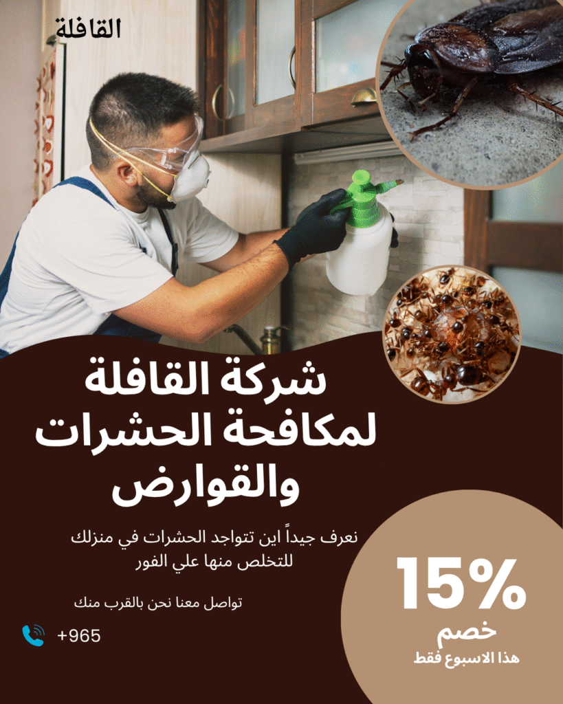 شركة مكافحة الحشرات بالكويت