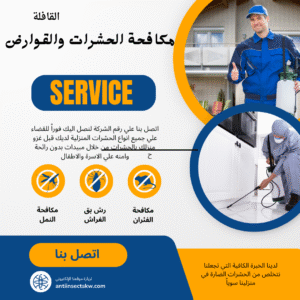 شركة مكافحة الحشرات بالكويت